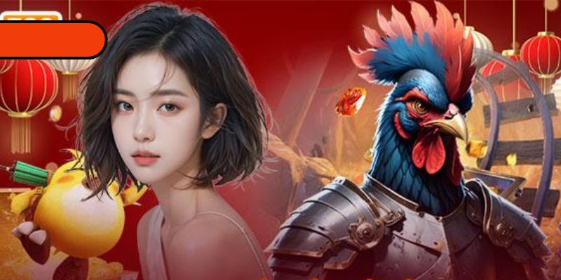 Trực Tiếp Đá Gà 88 - Cập Nhật Nhanh, Kèo Nổ Mạnh Tay 1 Hội tụ trường gà hot nhất, Thomo, C1, Campuchia đều có mặt