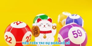Mèo tiên tri dự đoán xổ số là xu hướng giải trí mới lạ