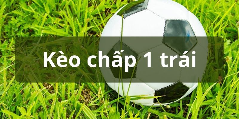 Kèo Chấp 1 Trái | Chiến Thuật Cược Dành Cho Dân Cá Độ 1 Tìm hiểu cơ bản về kèo chấp 1 trái