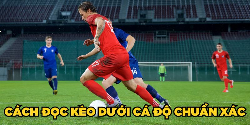 Kèo Dưới Là Gì? Mẹo Soi Kèo Dưới Thắng Lớn Cho Người Mới 2 Cách đọc kèo dưới cá độ chuẩn xác