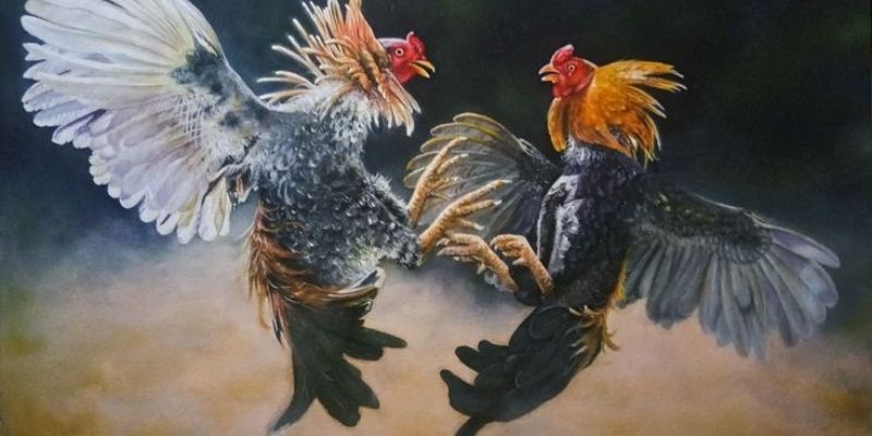Bí Quyết Soi Gà Đá Từ Kinh Nghiệm Từ Các Chuyên Gia 1 Hiểu rõ các tỷ lệ kèo là bí quyết quan trọng