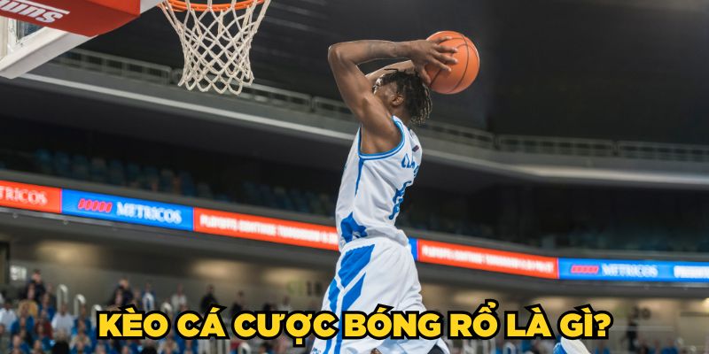 Kèo Cá Cược Bóng Rổ - Cách Soi Kèo & Đặt Cược Hiệu Quả 1 Kèo cá cược bóng rổ là gì?