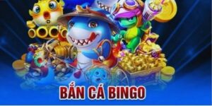 Bắn cá Bingo không chỉ là một trò chơi giải trí